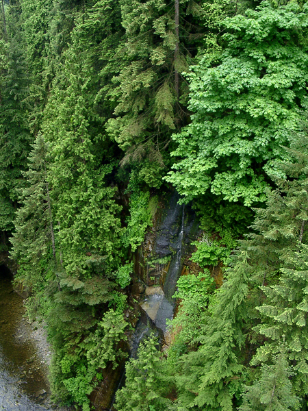 Looking down from the Capilano Suspension Bridge